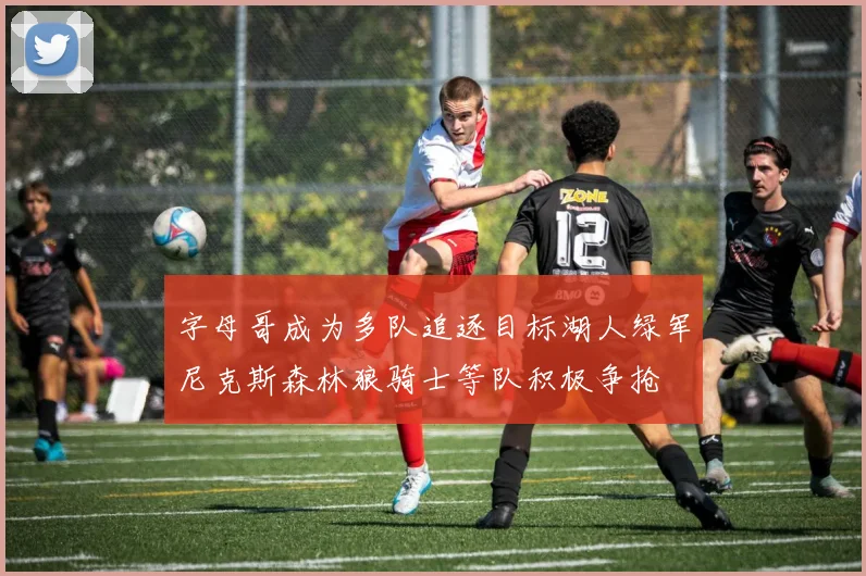 字母哥成为多队追逐目标湖人绿军尼克斯森林狼骑士等队积极争抢