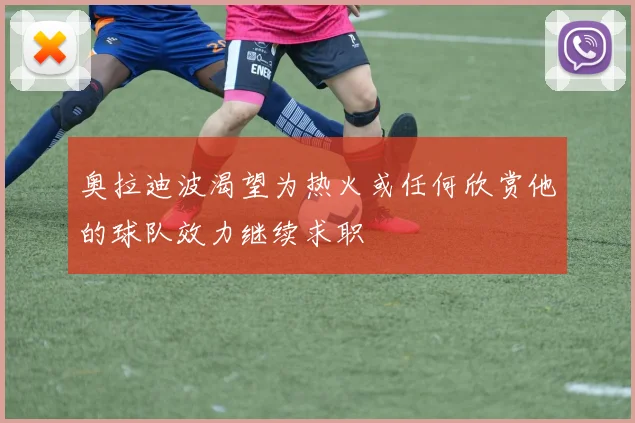 奥拉迪波渴望为热火或任何欣赏他的球队效力继续求职